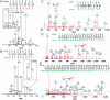 Fig. 2.