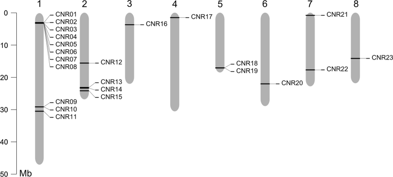 Fig. 1