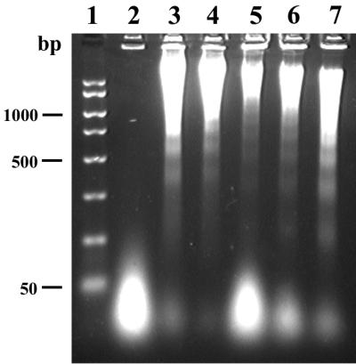 FIG. 9