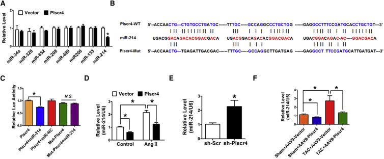 Figure 5