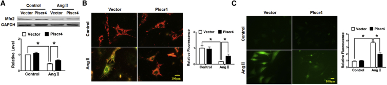 Figure 6