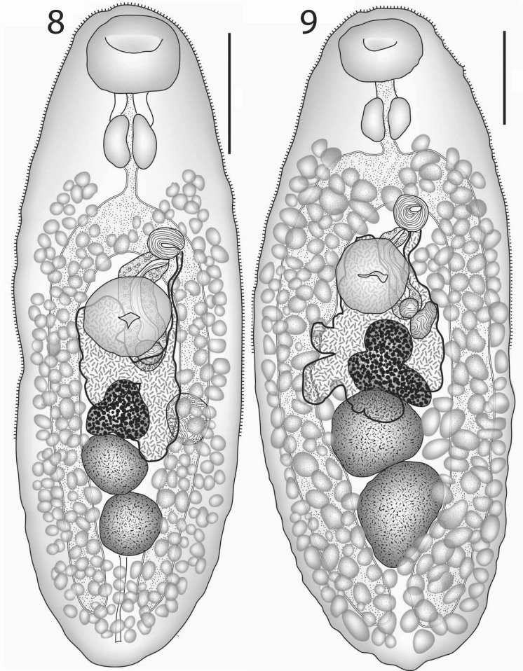 Figs. 8–9