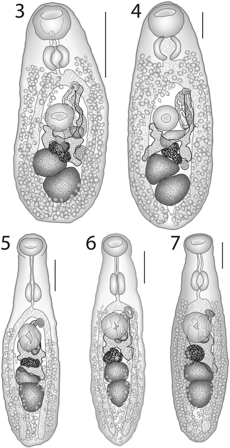 Figs. 3–7