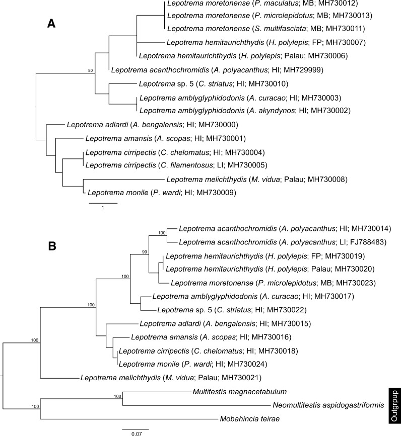 Fig. 1