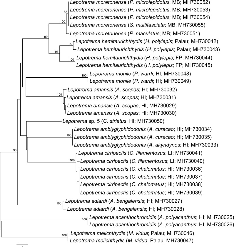 Fig. 2