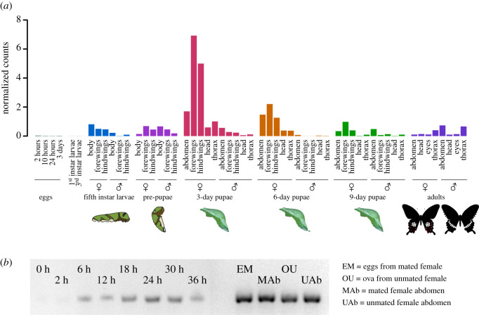 Figure 1.