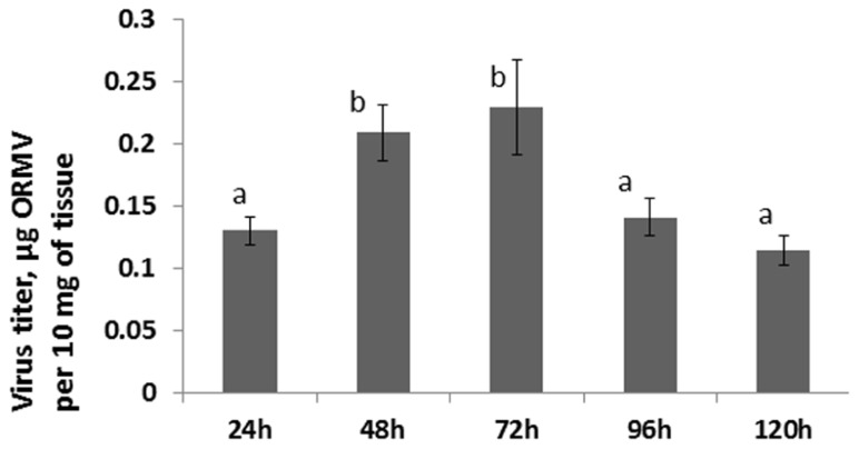 FIGURE 4