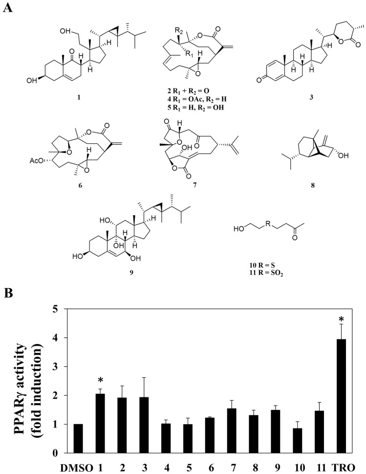 Figure 1