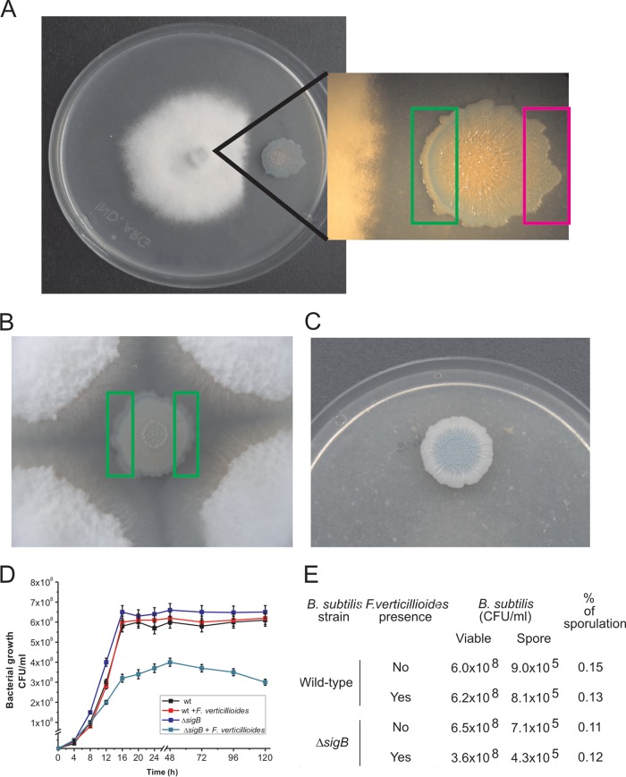 FIG 1