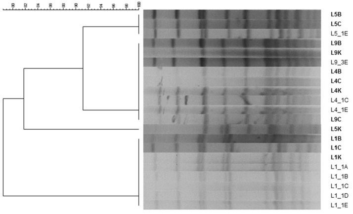 Figure 5