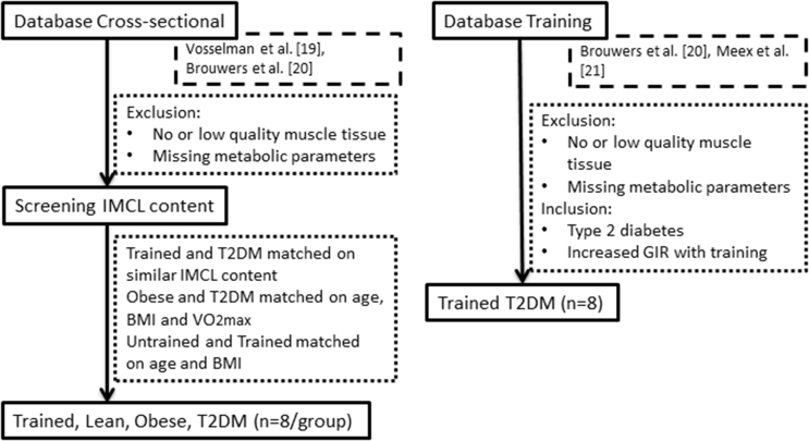 Supplementary Figure 1