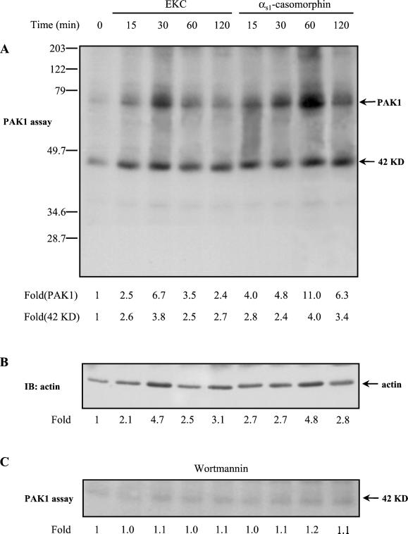 Figure 7