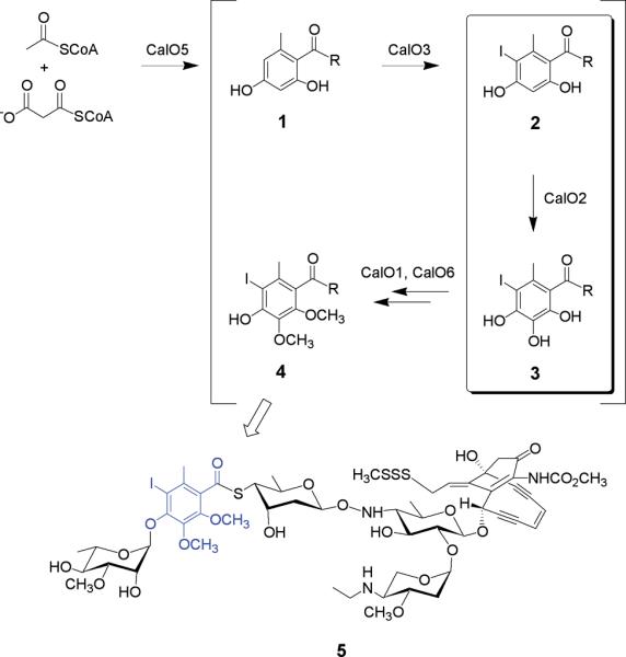 Fig. 1