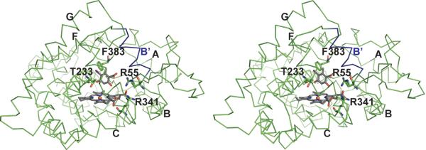 Fig. 6