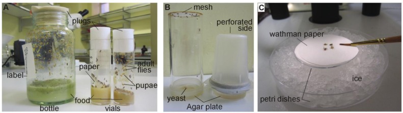 Figure 2.