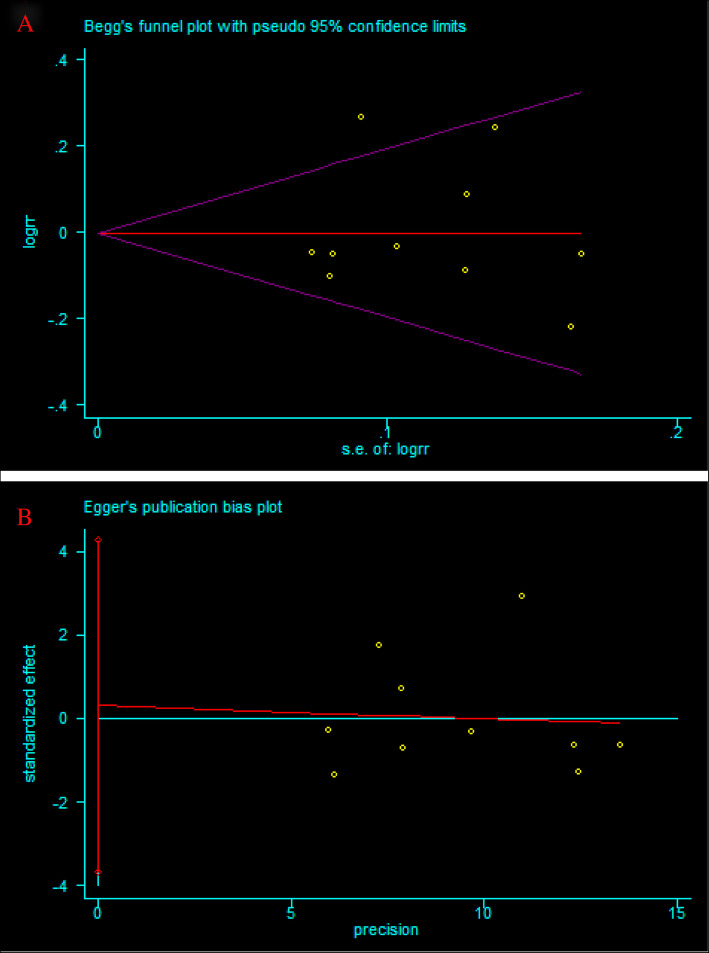 Fig. 10