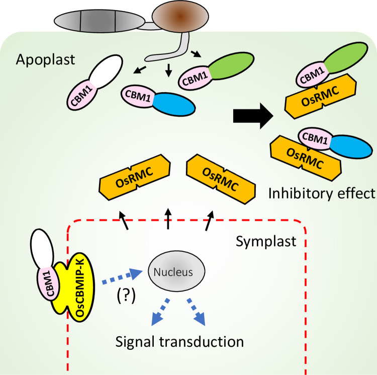 Fig 10