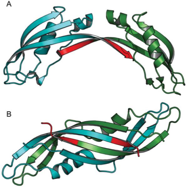 Figure 10