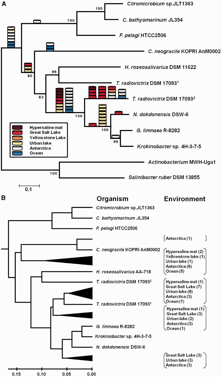 Fig. 4.—