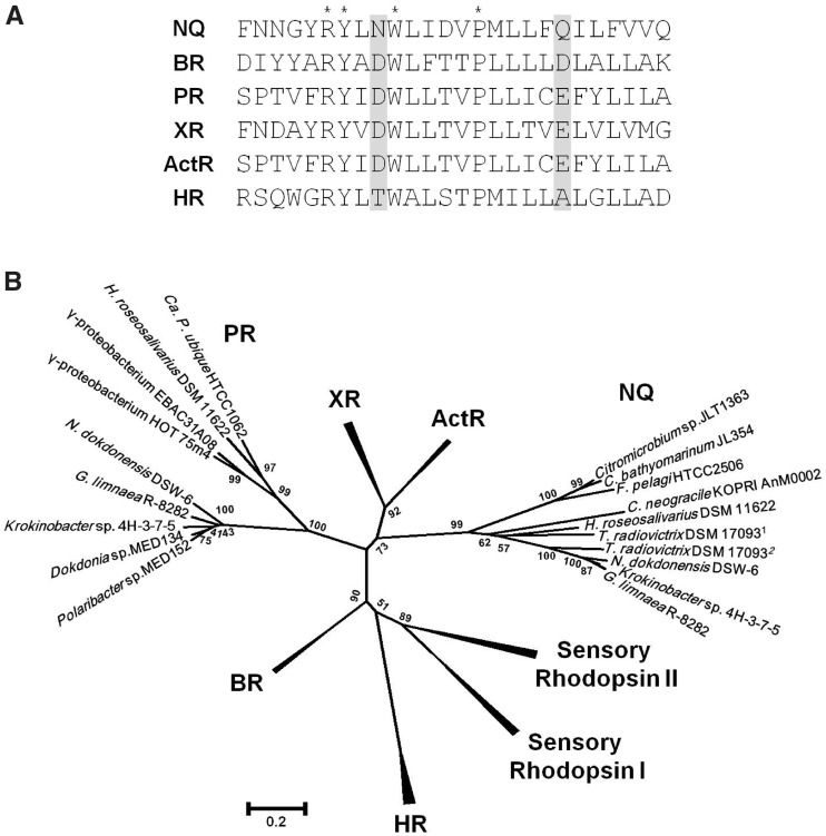 Fig. 2.—