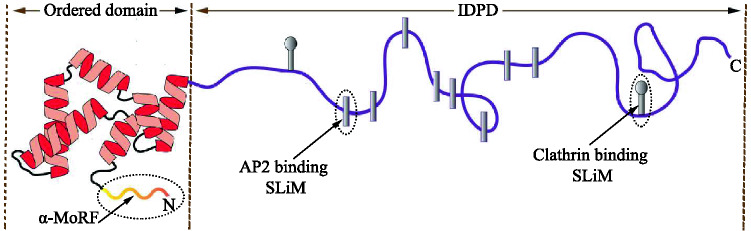 Fig. 2