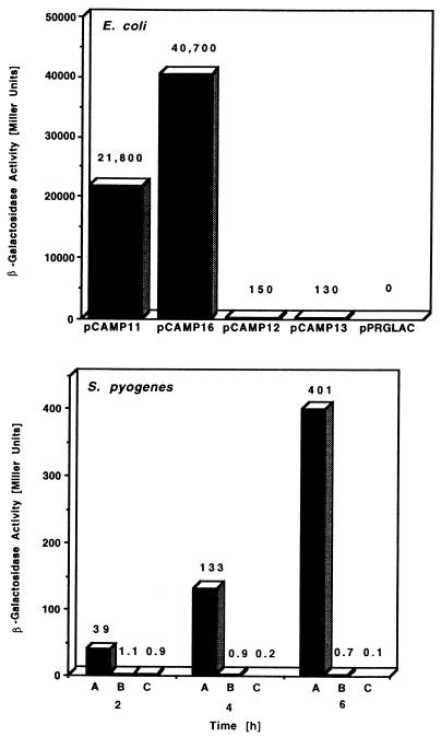 FIG. 5