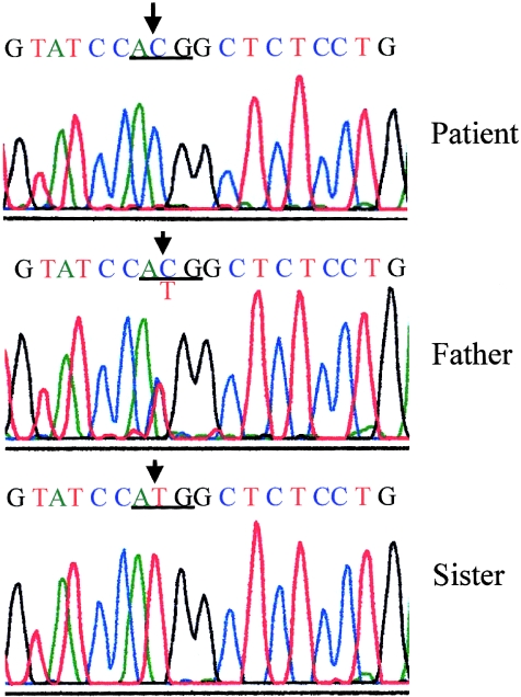 Figure  2