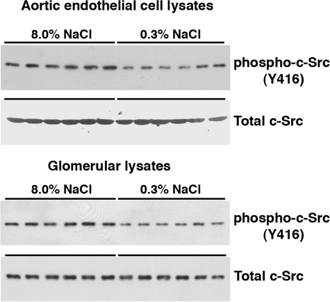 Fig. 10.