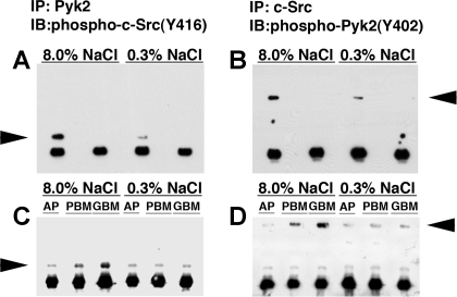 Fig. 9.