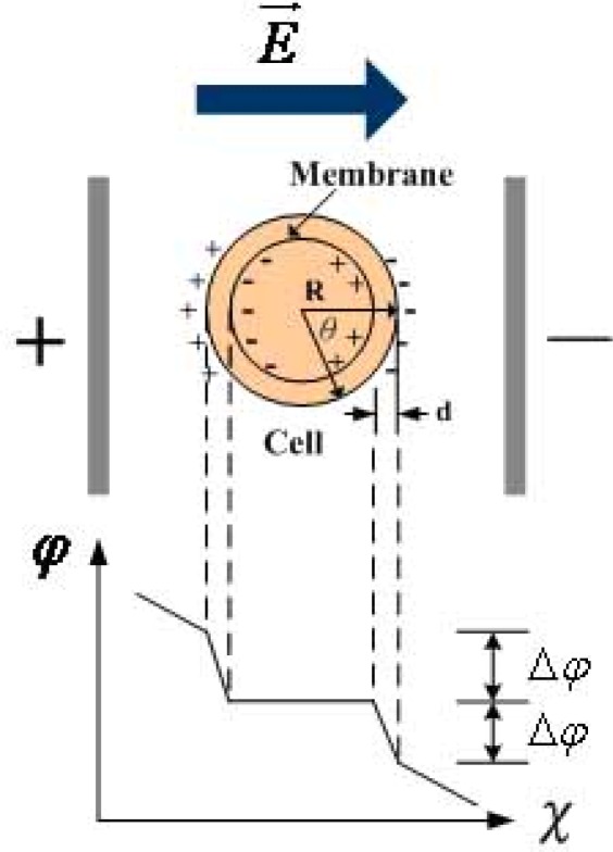 Figure 8.