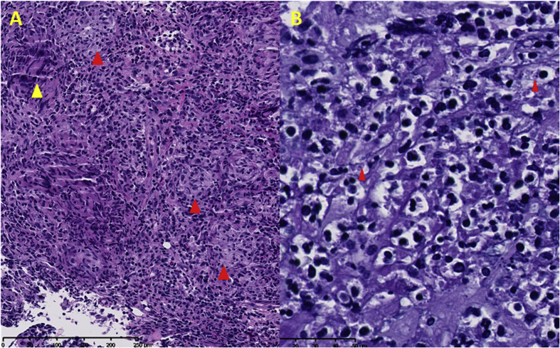 Fig. 2