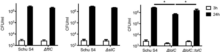 FIG 2