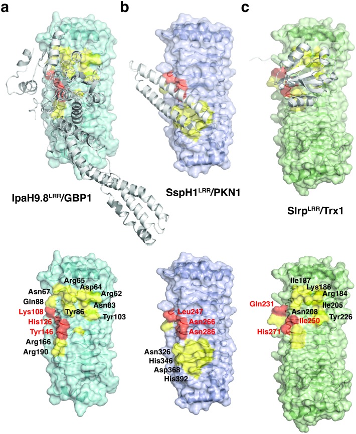 Fig 5