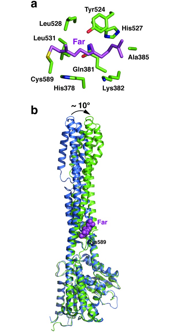 Fig 7