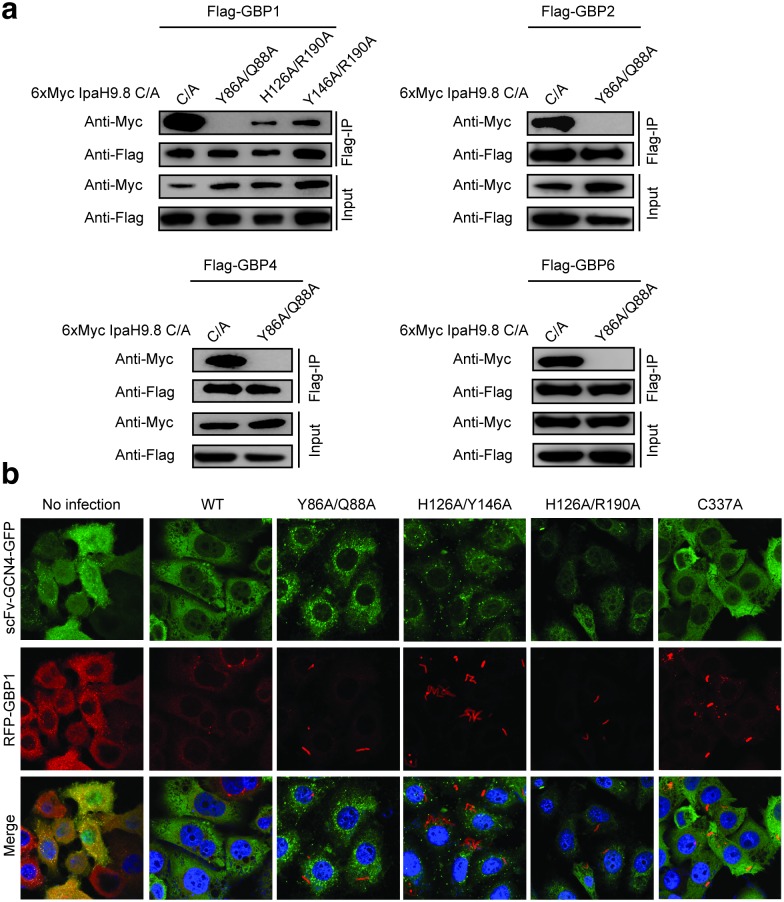 Fig 4