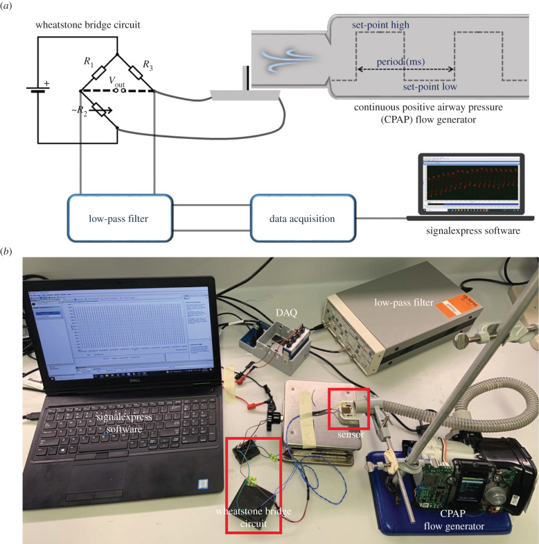 Figure 2. 