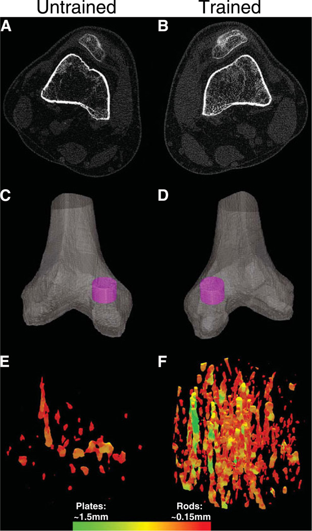 Fig. 5