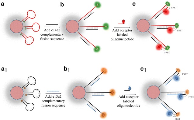 Scheme 1