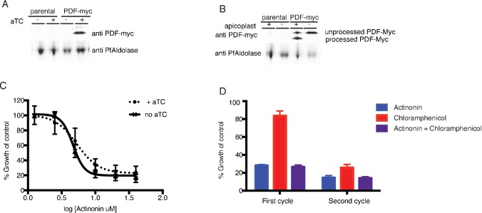 Figure 1—figure supplement 3.