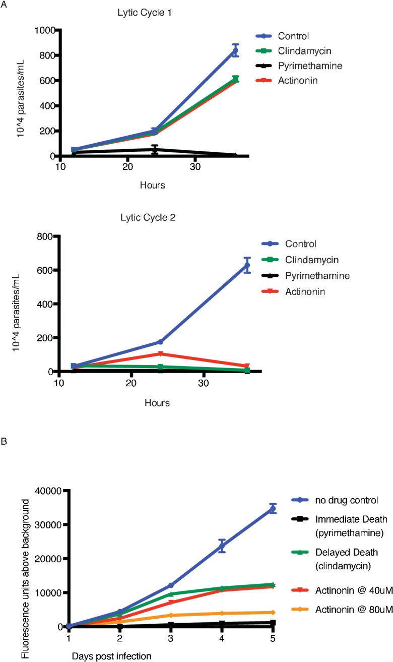 Figure 2—figure supplement 1.