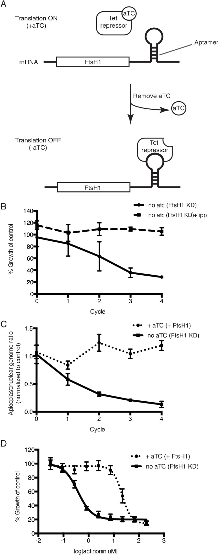 Figure 3.