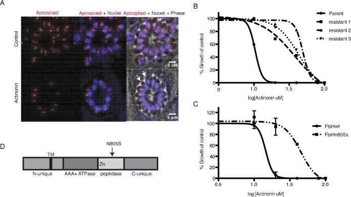 Figure 2.