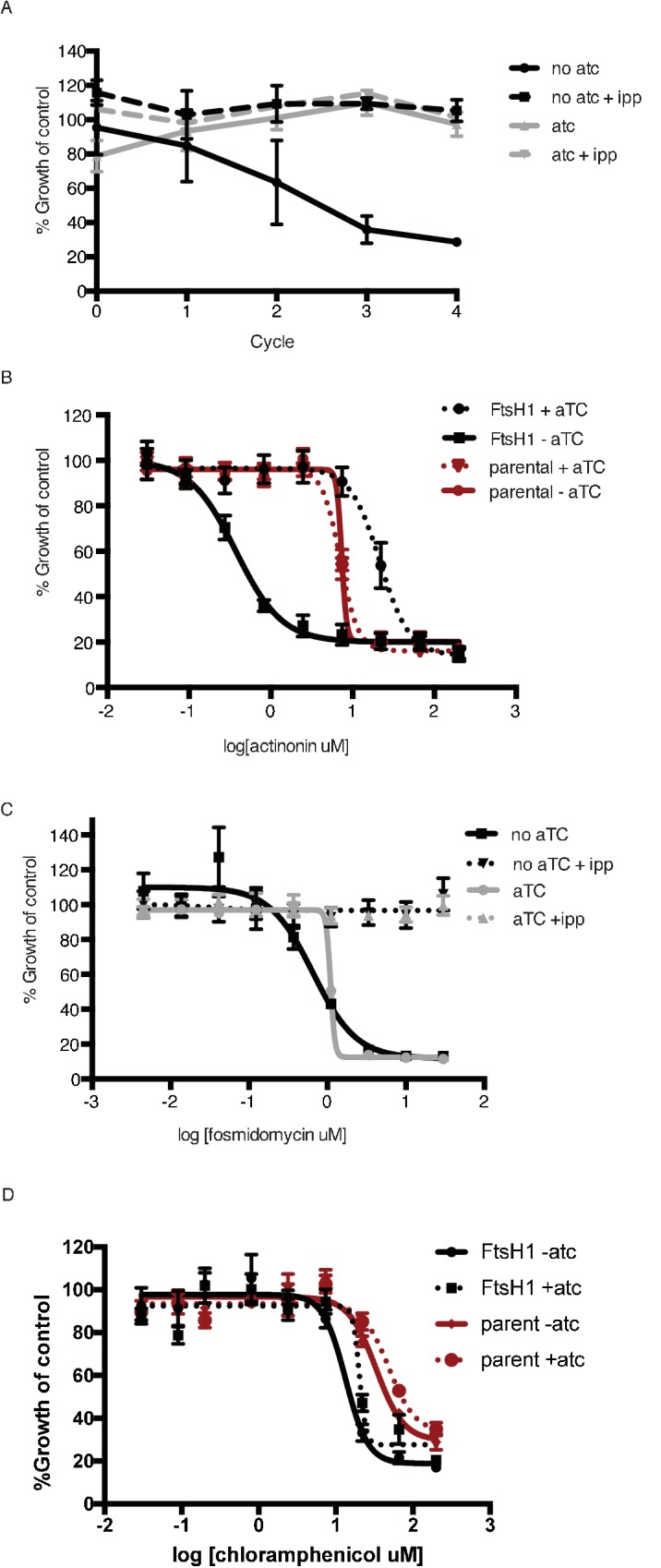 Figure 3—figure supplement 2.