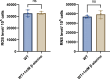 Figure 1—figure supplement 1.