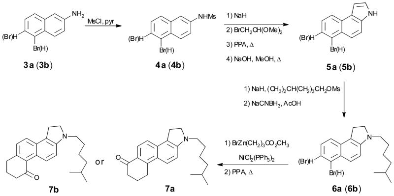 Scheme 1