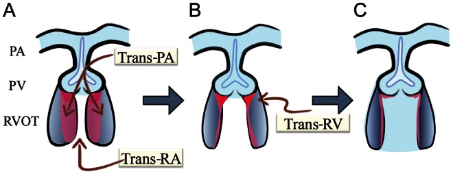 Figure 1: