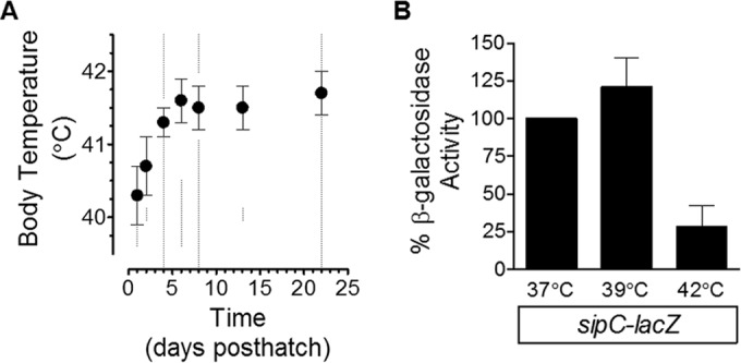 FIG 1