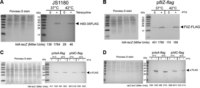 FIG 6