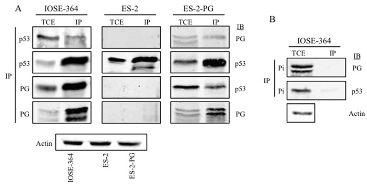 Fig 5