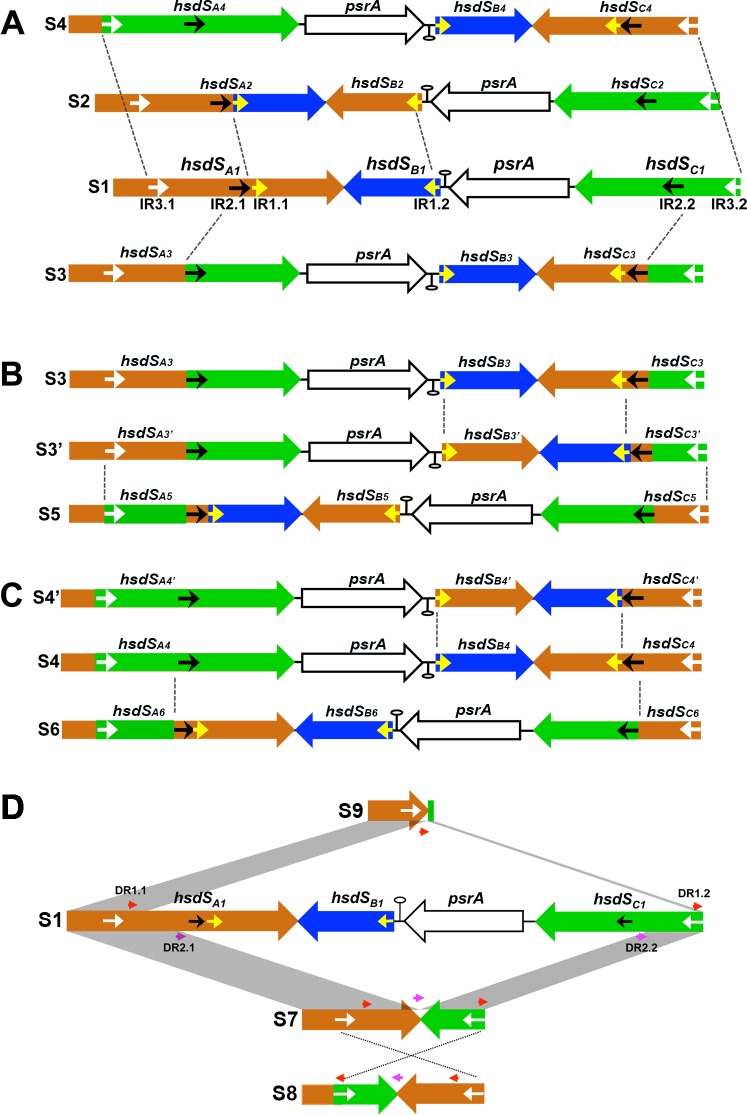 Fig 3